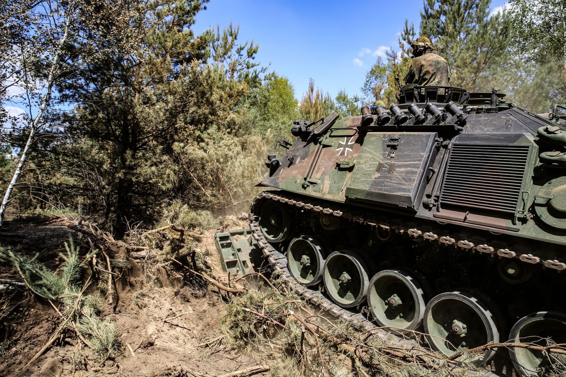 Pionierpanzer Dachs im Einsatz: Die Bundeswehr schlägt eine Schneise in den Wald.