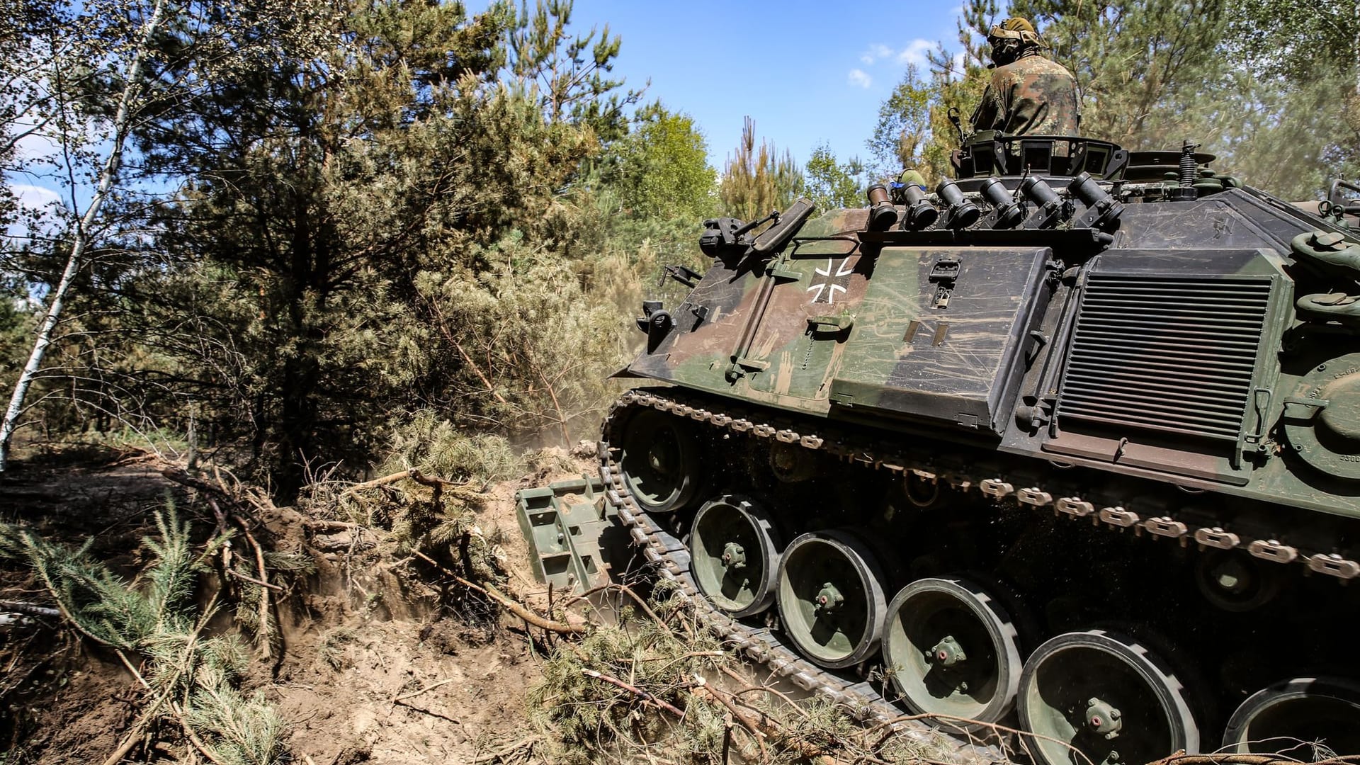 Pionierpanzer Dachs im Einsatz: Die Bundeswehr schlägt eine Schneise in den Wald.