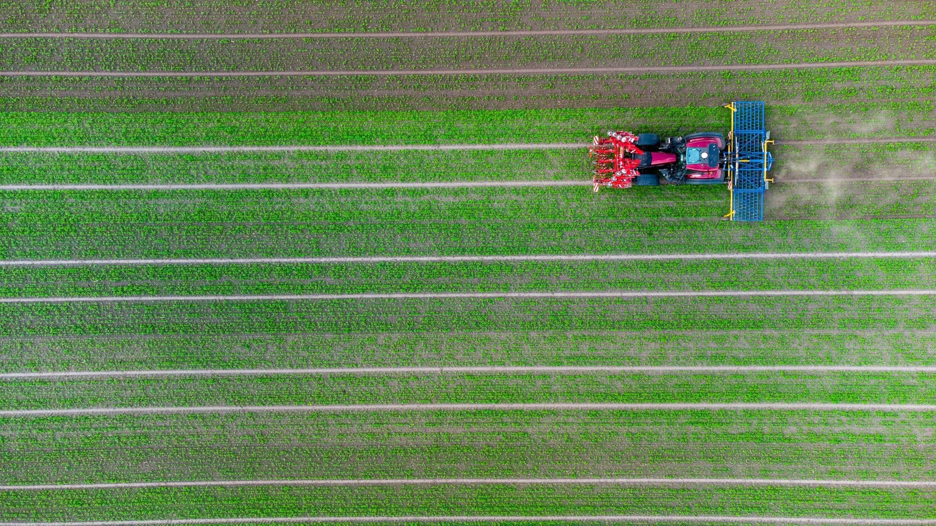 Landwirtschaft