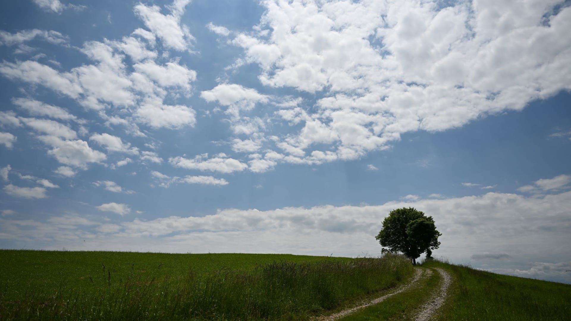 Wetter in Thüringen