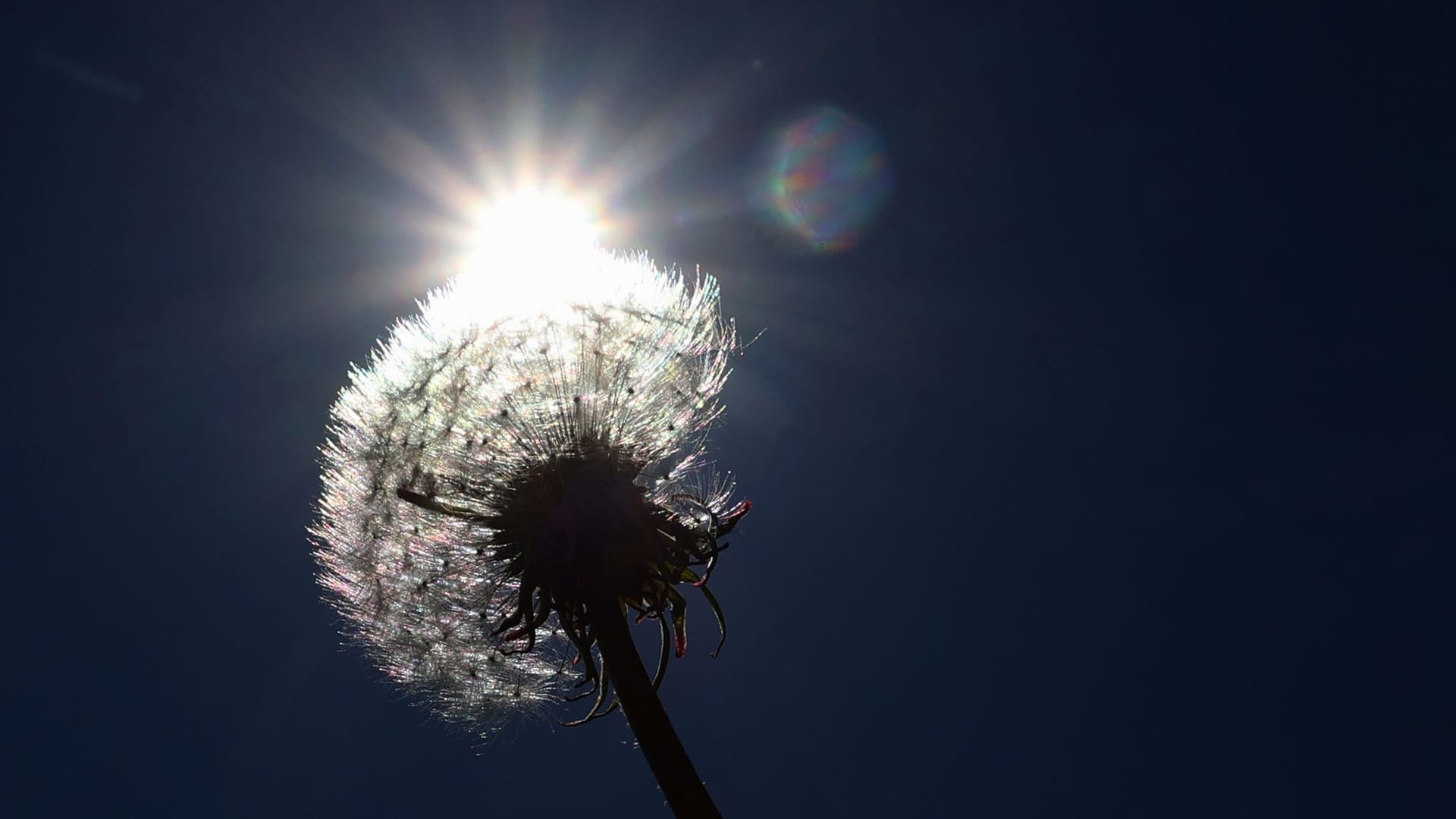 Sonniges Wetter