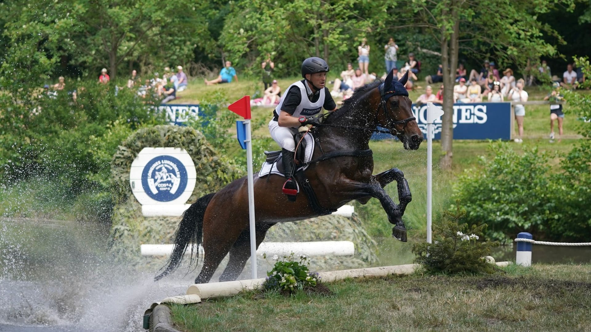 Deutsche Meisterschaft Deutsche Meisterschaft