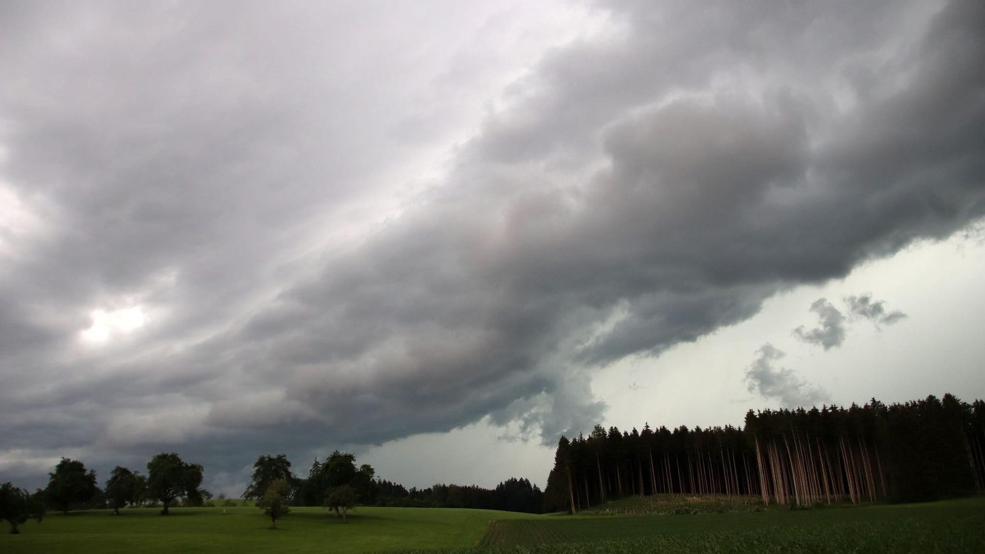 Wetter Wetter