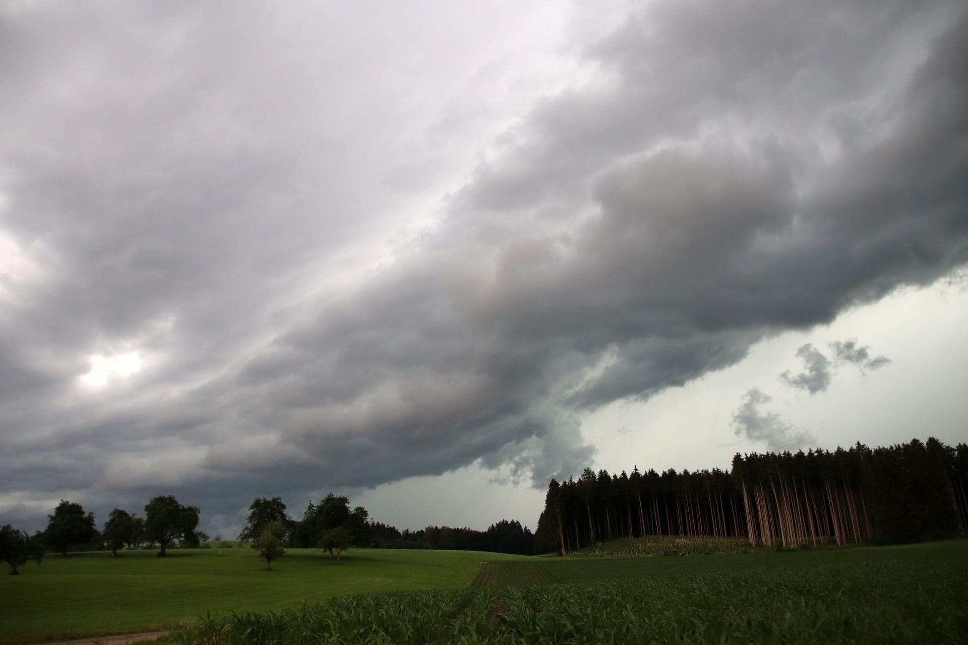 Wetter