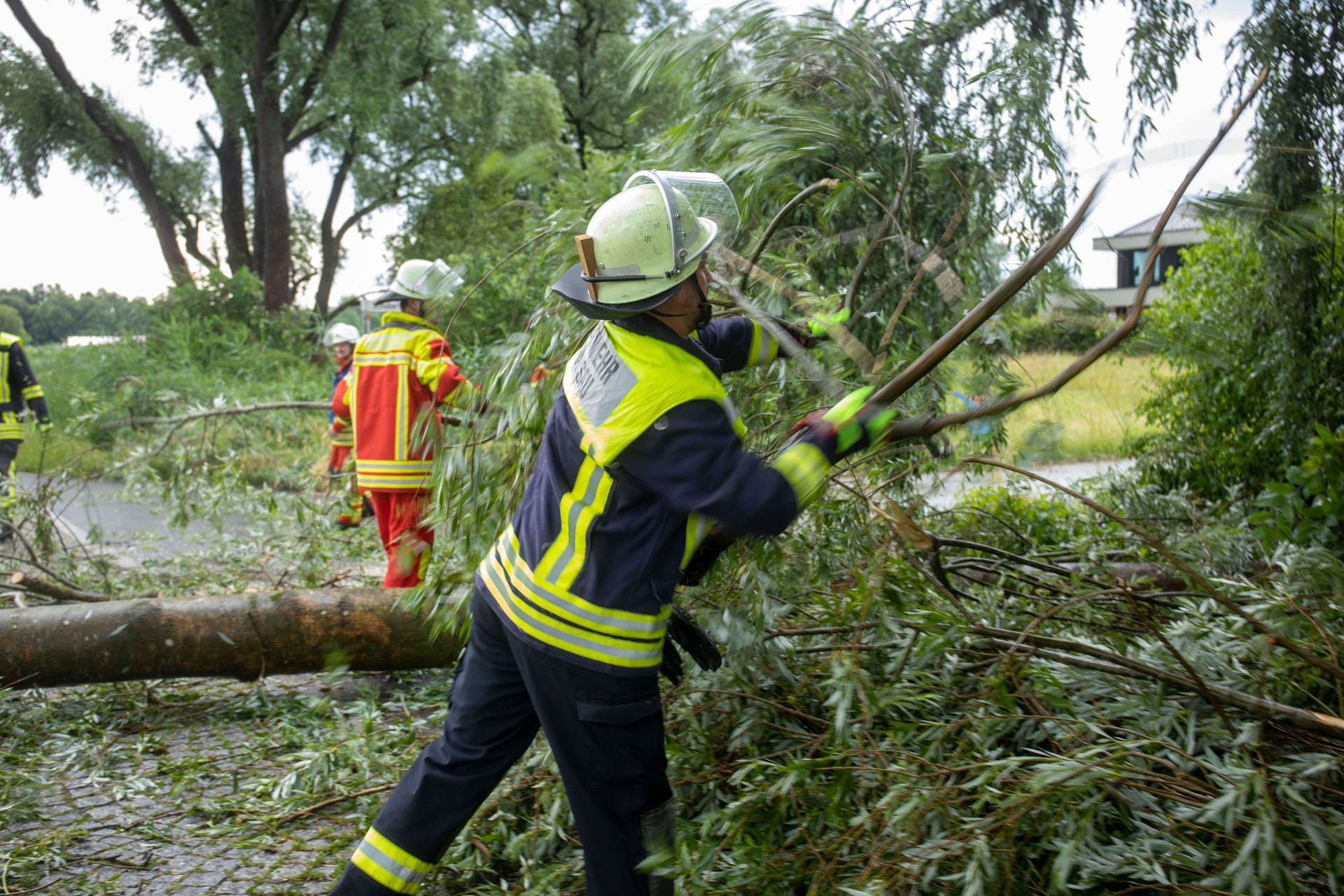 Die Feuerwehr kümmert sich um einen umgestürzten Baum (Archivbild): In kürzester Zeit sind der Polizei 20 bis 25 Einsätze gemeldet worden.