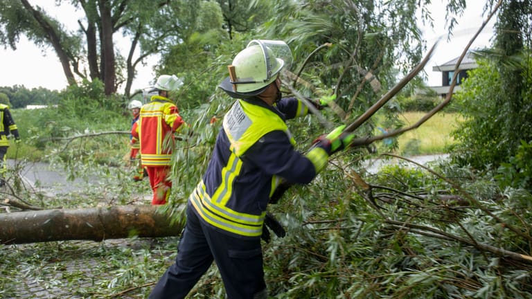 Die Feuerwehr kümmert sich um einen umgestürzten Baum (Archivbild): In kürzester Zeit sind der Polizei 20 bis 25 Einsätze gemeldet worden.