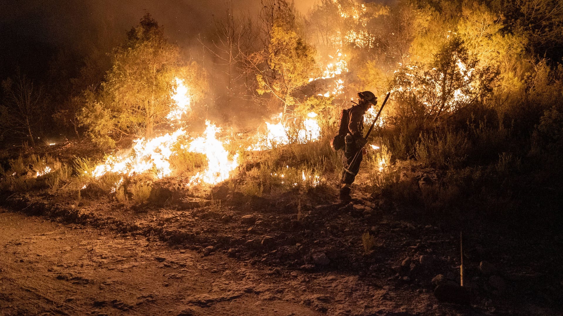 Ein Feuerwehrmann steht vor einem Böschungsbrand (Symbolbild): Die Hitze könnte auch in Hamburg für Feuer sorgen.