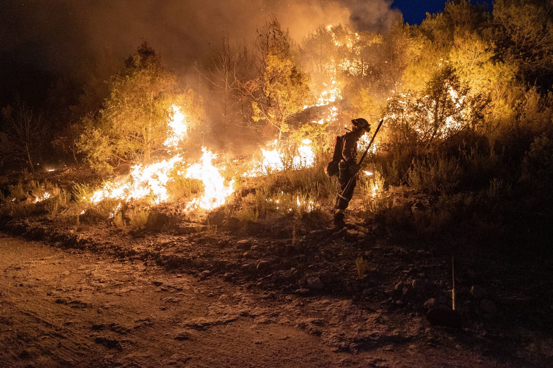 Ein Feuerwehrmann steht vor einem Böschungsbrand (Symbolbild): Die Hitze könnte auch in Hamburg für Feuer sorgen.