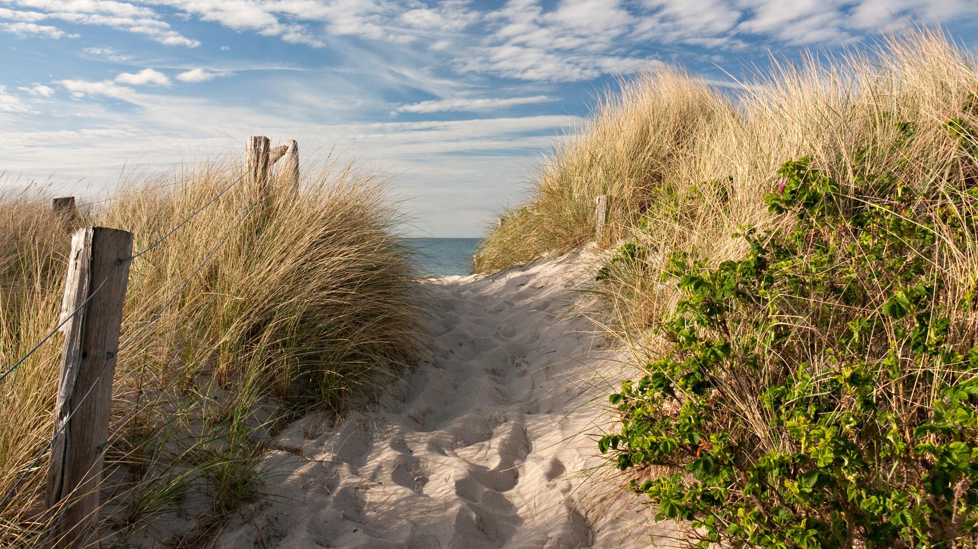 Heiligenhafen: Das Ostseeheilbad bietet neben einem FKK-Strand auch einen Familienfreundlichen-, einen Natur- und einen Hundestrand.