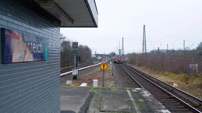 S-Bahnhof Diebsteich (Archivbild): Hier verletzte sich die Frau.