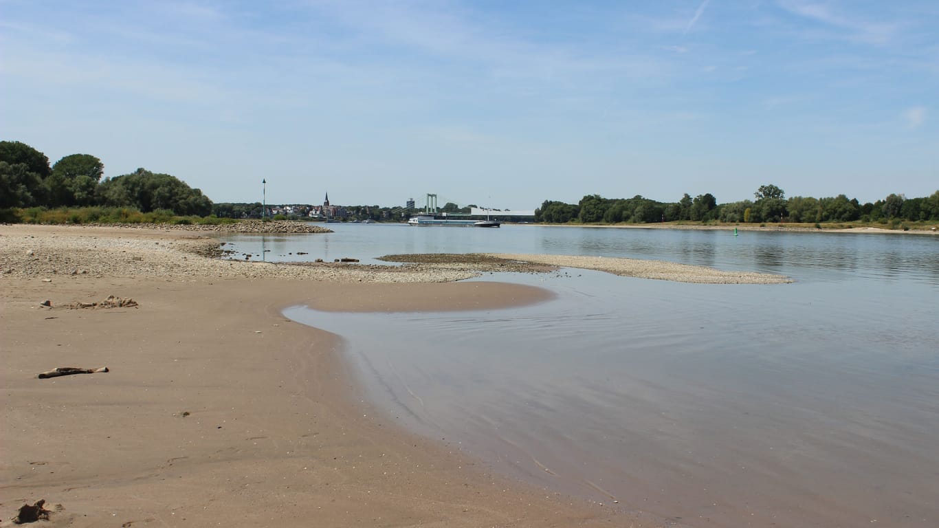 Wenig Wasser am Rhein: Gefährlich ist er laut DLRG gerade deshalb.