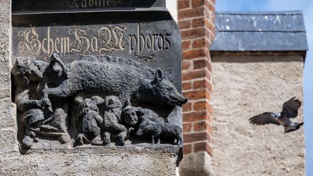 Eine als „Judensau“ bezeichnete Schmähplastik ist an der Stadtkirche zu sehen. Eine als „Judensau“ bezeichnete Schmähplastik ist an der Stadtkirche zu sehen.