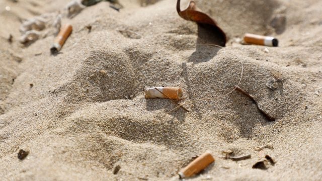 Zigarettenstummel verschmutzen den Strand von Arenal auf der spanischen Urlaubsinsel Mallorca. Zigarettenstummel verschmutzen den Strand von Arenal auf der spanischen Urlaubsinsel Mallorca.