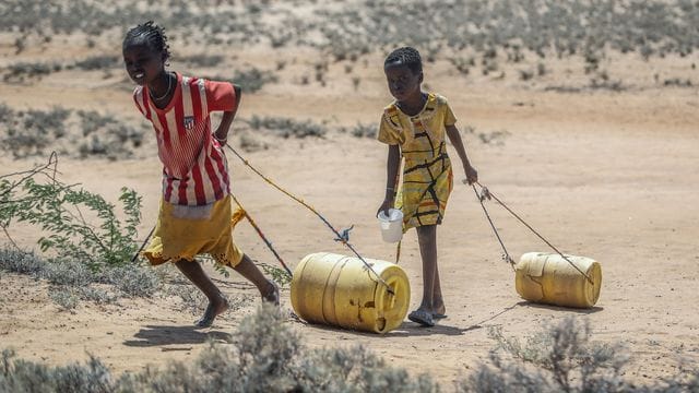 "Wir dürfen es nicht zulassen, dass sich eine Hungerkrise wie 2007/2008 mit knapp einer Milliarde Hungernden auf der Welt wiederholt.