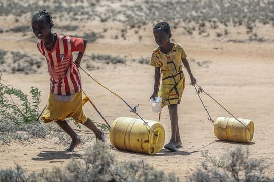 "Wir dürfen es nicht zulassen, dass sich eine Hungerkrise wie 2007/2008 mit knapp einer Milliarde Hungernden auf der Welt wiederholt.