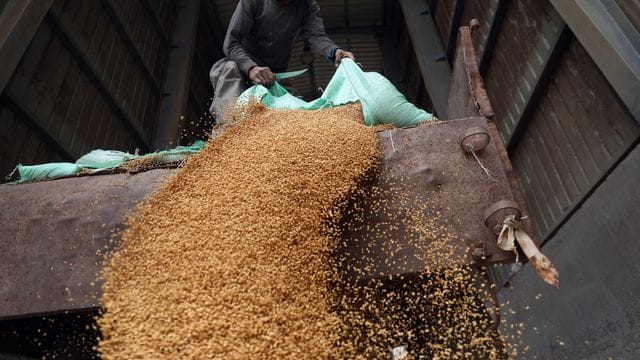 Afrika fehlen Millionen Tonnen Weizen.