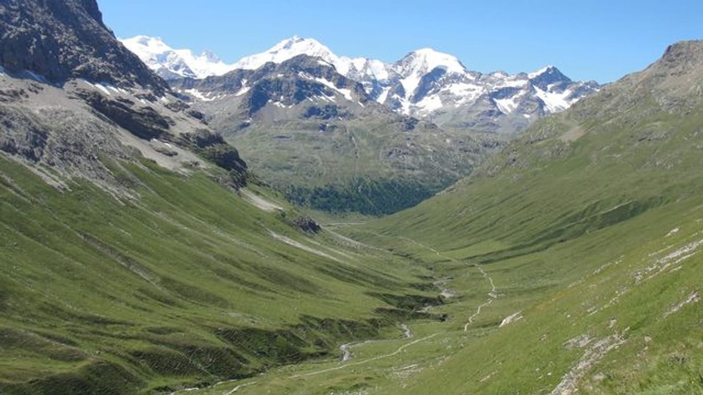 Der Blick auf die Schweizer Alpen (Piz Bernina) ist wegen des Klimawandels immer grüner.