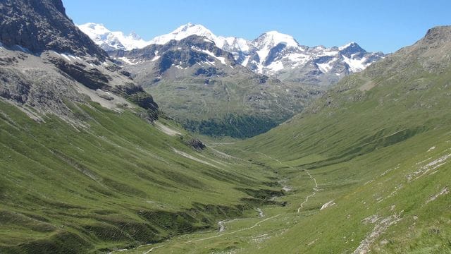 Der Blick auf die Schweizer Alpen (Piz Bernina) ist wegen des Klimawandels immer grüner.