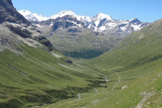 Der Blick auf die Schweizer Alpen (Piz Bernina) ist wegen des Klimawandels immer grüner.