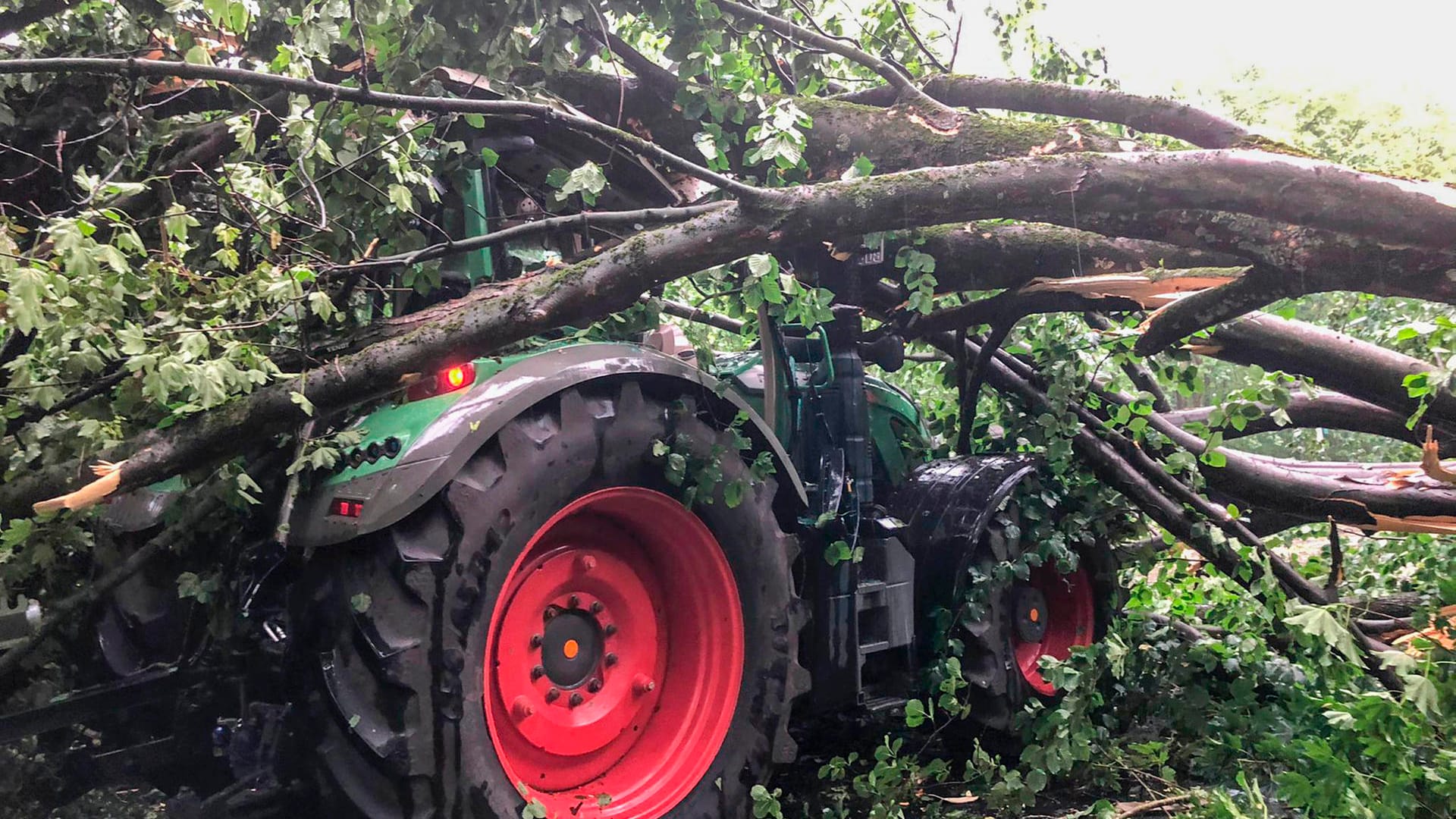 Ein dicker Baum ist auf einen Traktor gestürzt. Eine Gewitterfront hat am Donnerstagabend im Rheinland Schäden verursacht.