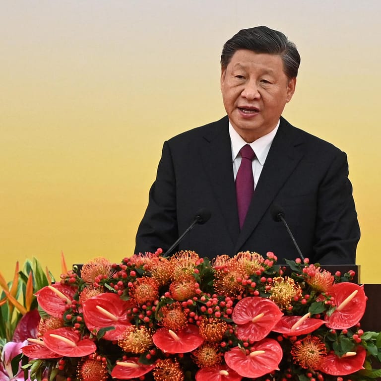 Xi Jinping in Hongkong: Die Stadt genieße die "wahre Demokratie", sagte Chinas Präsident in seiner Rede.