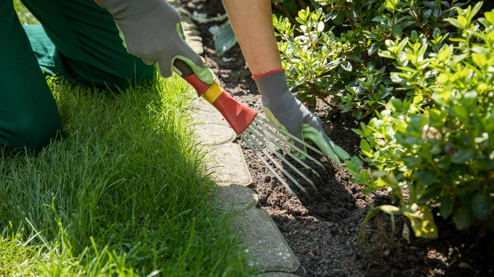 Gartentipp: Das Auflockern des Beetbodens um die Pflanzen herum hilft diesen an trockenen Sommertagen.