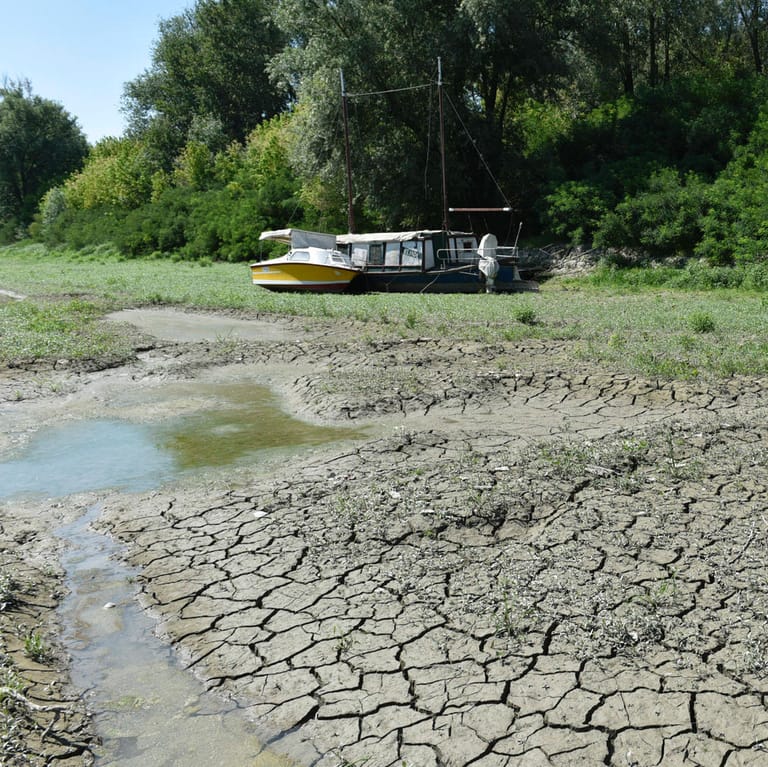 Ausgetrockneter Fluss Po in der Provinz Parma: Der Stand vieler Gewässer ist derzeit viel niedriger als gewöhnlich.