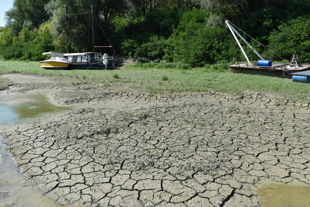 Ausgetrockneter Fluss Po in der Provinz Parma: Der Stand vieler Gewässer ist derzeit viel niedriger als gewöhnlich.