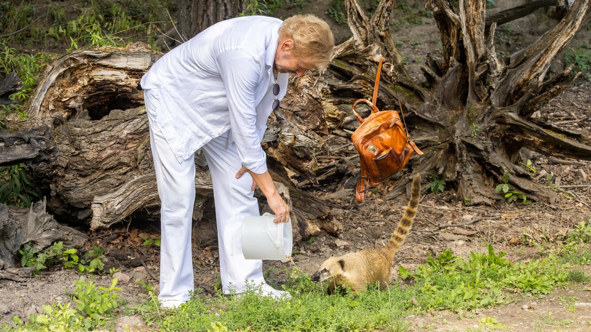 Thomas Gottschalk und Nasenbär Thommy: Der Moderator ist Pate des Tieres.