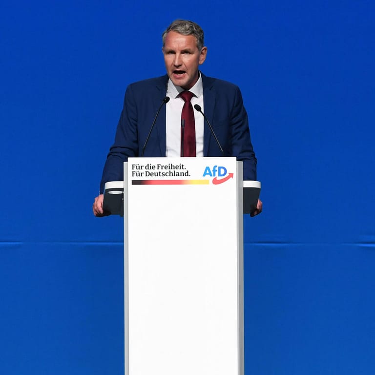 Thüringens Landesparteichef Björn Höcke gilt als Führungsfigur des völkisch-nationalistischen Lagers der AfD.