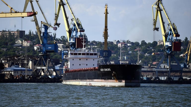 Schiffe liegen im Hafen von Mariupol (Archivbild): Nach Berichten sollen zwei Frachter beschlagnahmt worden sein