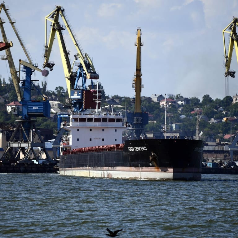 Schiffe liegen im Hafen von Mariupol (Archivbild): Nach Berichten sollen zwei Frachter beschlagnahmt worden sein