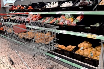 Einkaufswagen in einem Supermarkt (Symbolbild): Die Supermärkte erwarten noch Monate mit Lieferproblemen konfrontiert zu sein.