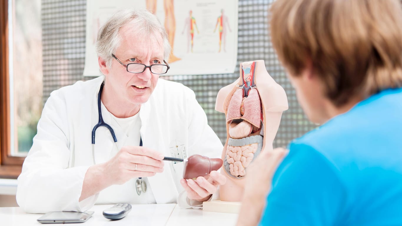 Ein Arzt deutet mit einem Stift auf das anatomische Modell einer Leber.