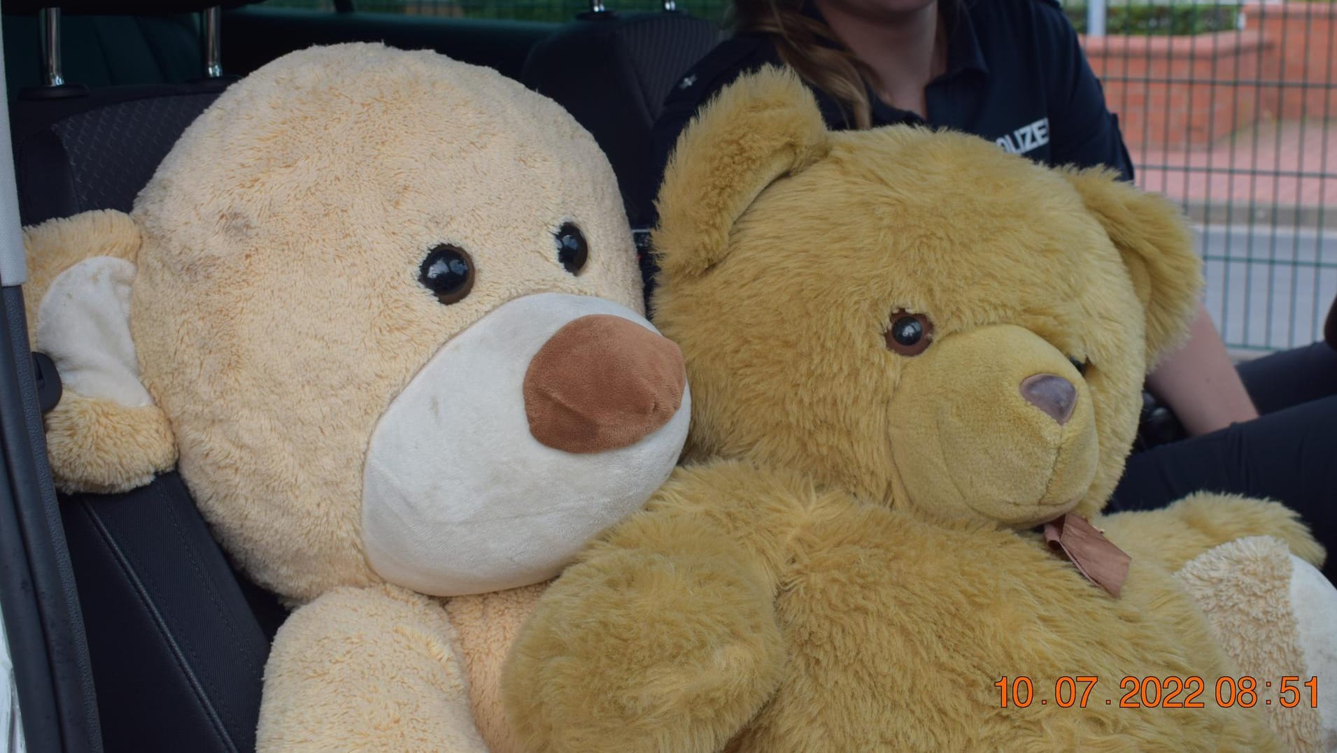 Kitty (l) und "Teddy": Alleine ist das Kuscheltier auf der Polizeistation nicht.