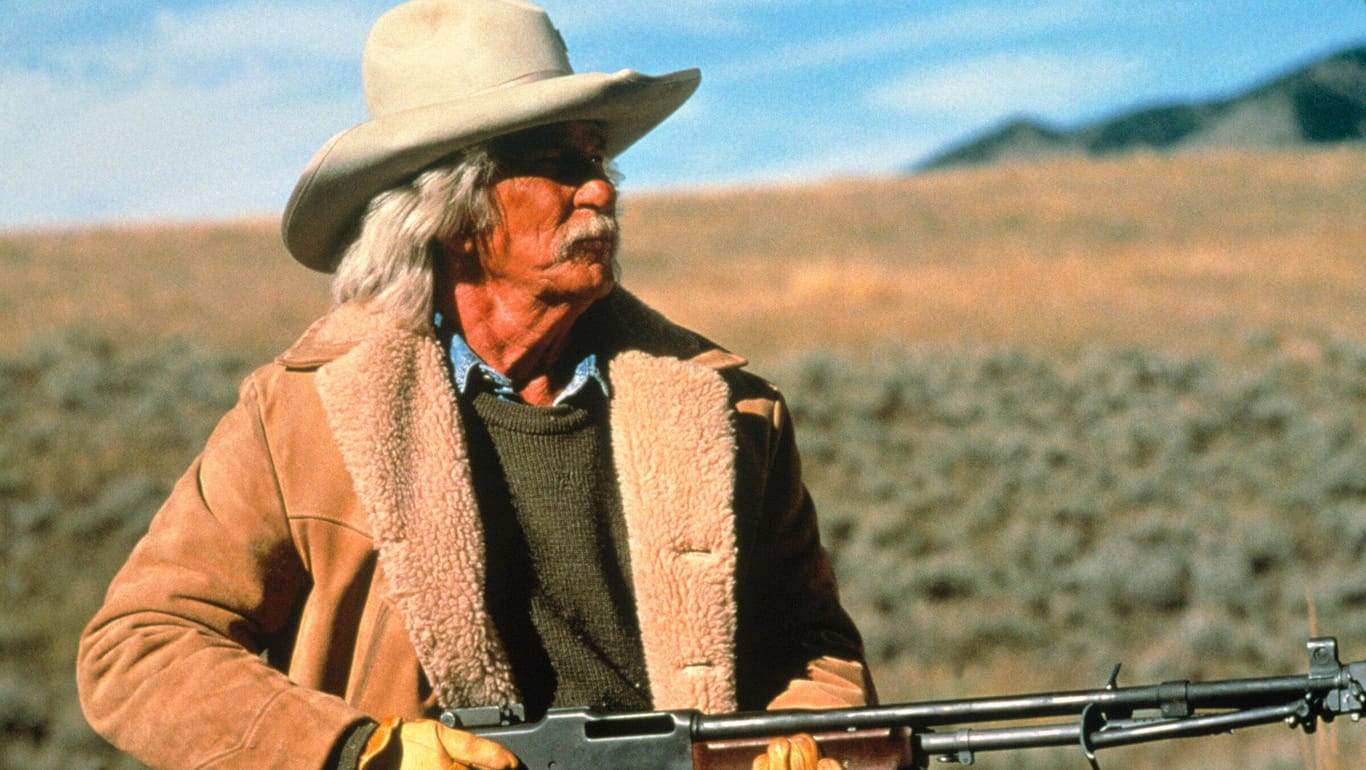 Berühmt wurde L.Q. Jones vor allem durch seine Rollen in diversen Westernfilmen.
