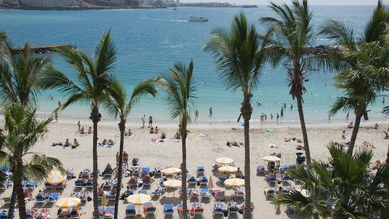 Patalavaca: Palmen sorgen für Karibik-Flair.