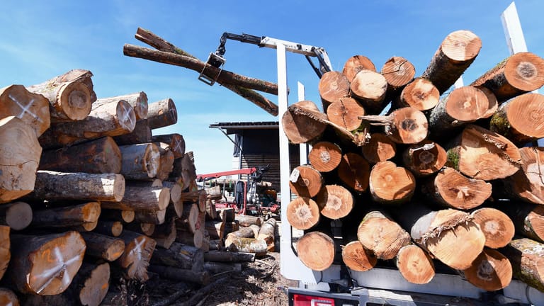 Ein Brennholzhändler lädt Stammholz von seinem Transporter ab: Brennholz ist derzeit vielerorts ausverkauft.