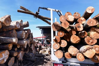 Ein Brennholzhändler lädt Stammholz von seinem Transporter ab: Brennholz ist derzeit vielerorts ausverkauft.