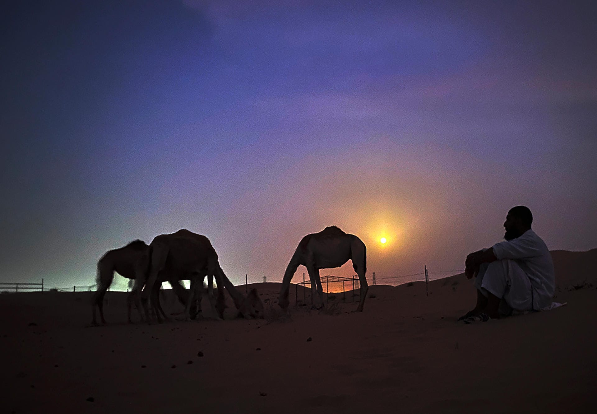 Der pakistanische Kamelhalter Asdollah sitzt bei Vollmond im Sand der Wüste Al Marmoom, etwa 40 km südöstlich von Dubai.