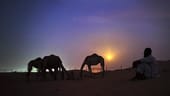 Der pakistanische Kamelhalter Asdollah sitzt bei Vollmond im Sand der Wüste Al Marmoom, etwa 40 km südöstlich von Dubai.