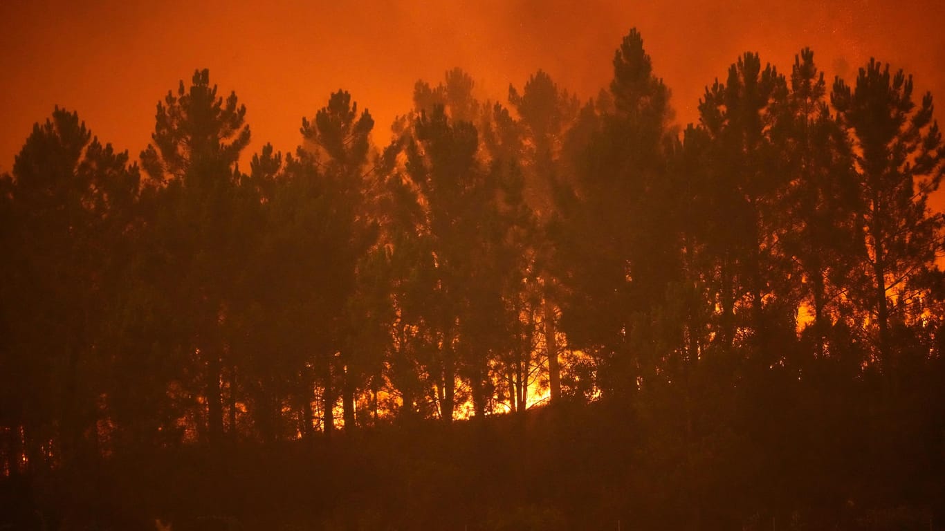 Waldbrand in Ansiao: In Portugal toben an mehreren Orten gleichzeitig große Feuer.