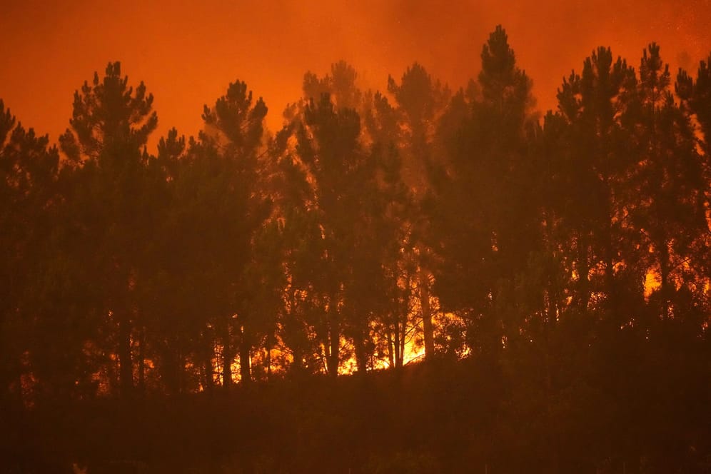 Waldbrand in Ansiao: In Portugal toben an mehreren Orten gleichzeitig große Feuer.