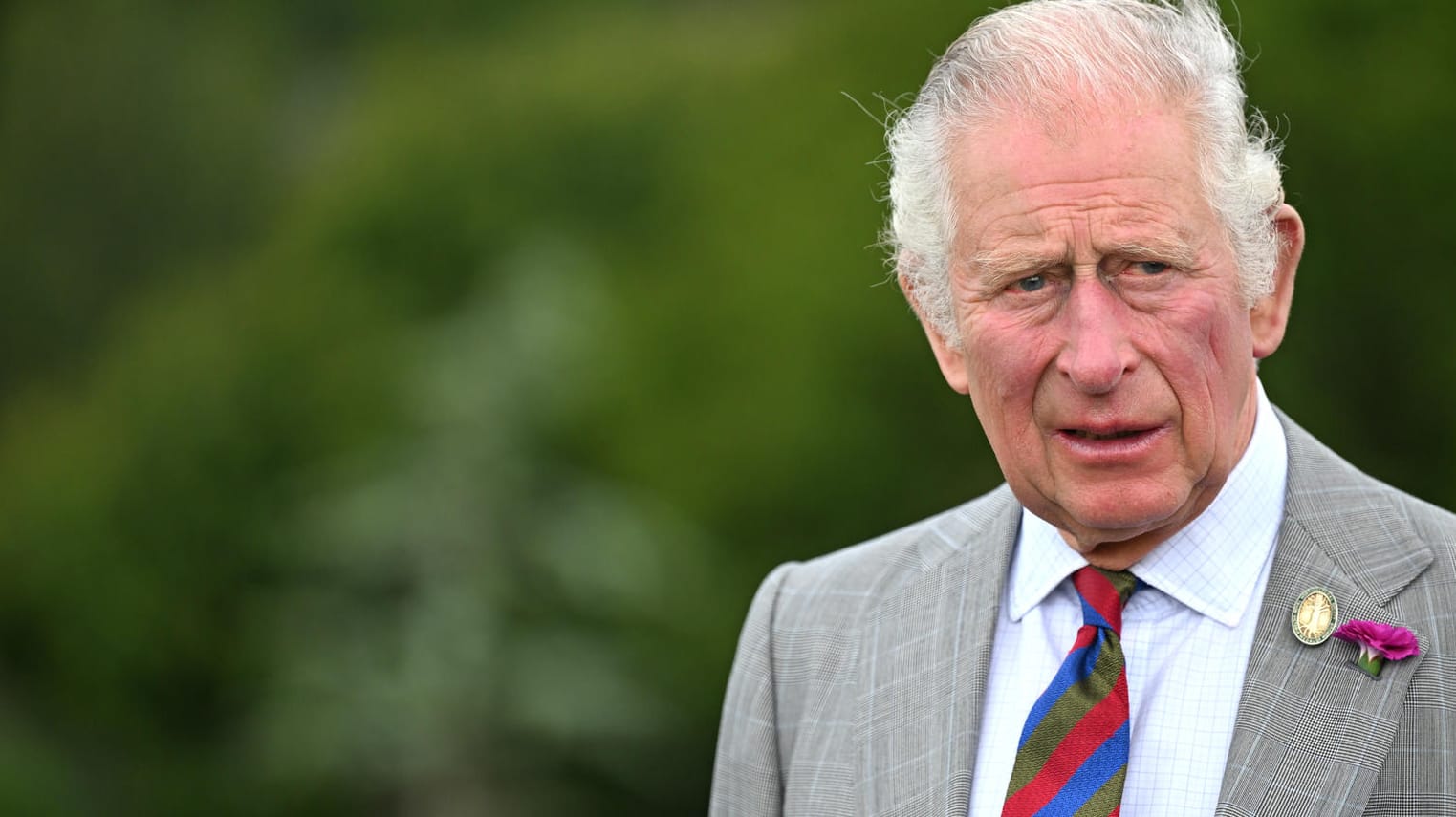 Prinz Charles: Der Royal war in erster Ehe mit Prinzessin Diana verheiratet. Prinz Charles: Der Royal war in erster Ehe mit Prinzessin Diana verheiratet.