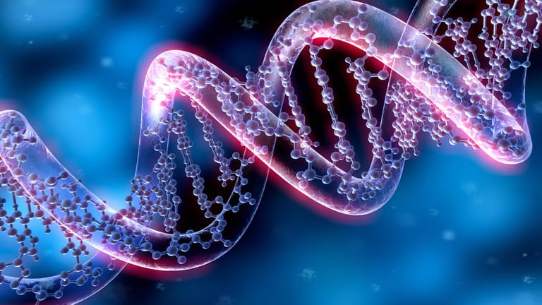 DNA-Helix: Genetische Faktoren: Studien zeigen, dass für die männlichen Mitglieder einer Familie ein etwa zwei- bis dreimal so hohes Risiko besteht, an einem Prostatakarzinom zu erkranken, wenn bereits ein Verwandter ersten Grades (Bruder, Vater) erkrankt ist.