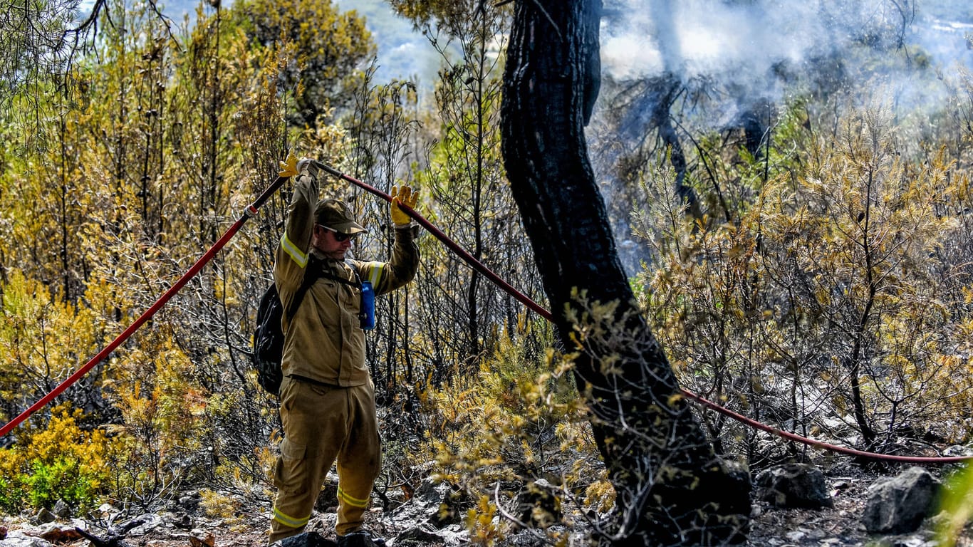 Griechenland, Region Korinthia: Täglich brechen neue Waldbrände in Griechenland aus.