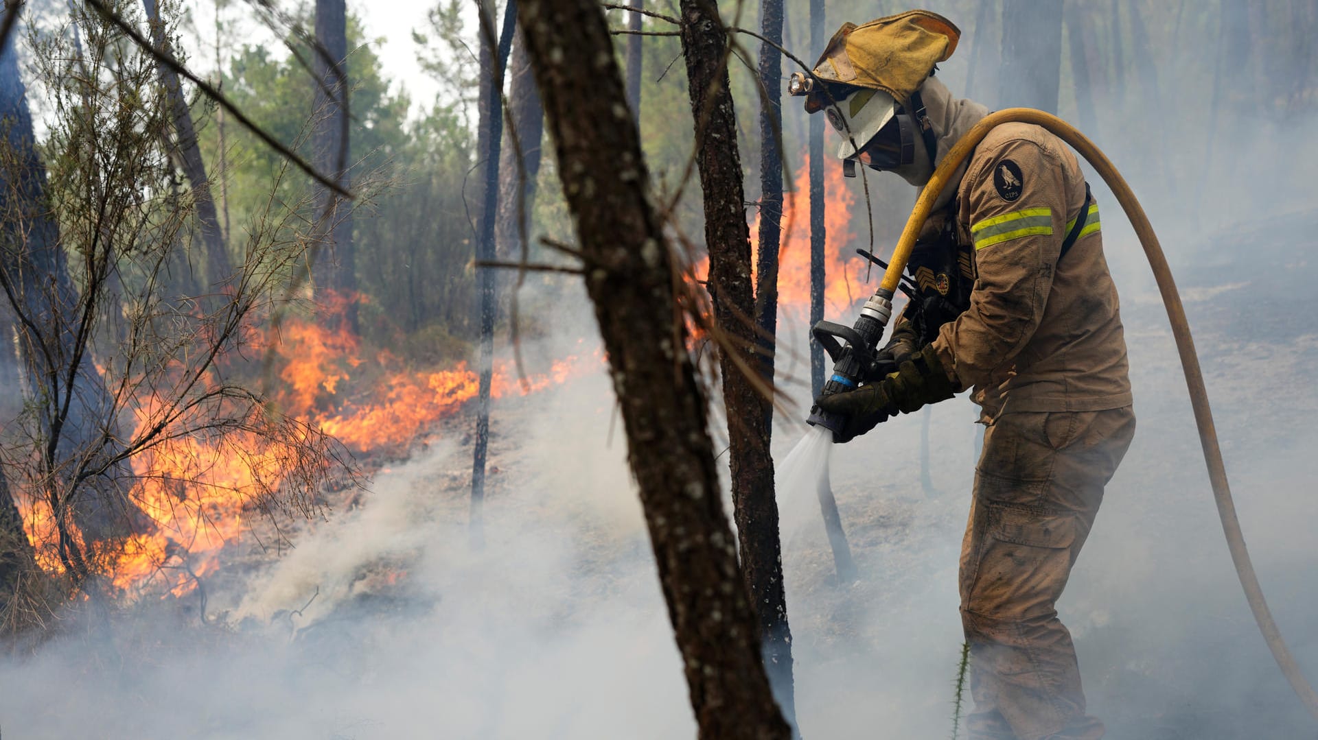 Ansiao in Zentralportugal: Tausende von Feuerwehrleuten kämpfen gegen Brände im ganzen Land, die die Evakuierung von Dutzenden Menschen aus ihren Häusern erzwangen.