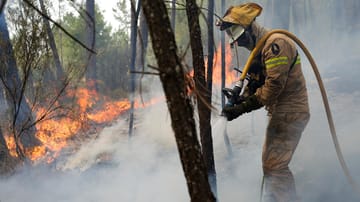Ansiao in Zentralportugal: Tausende von Feuerwehrleuten kämpfen gegen Brände im ganzen Land, sterben die Evakuierung von Dutzenden Menschen aus ihren Häusern erzwangen.