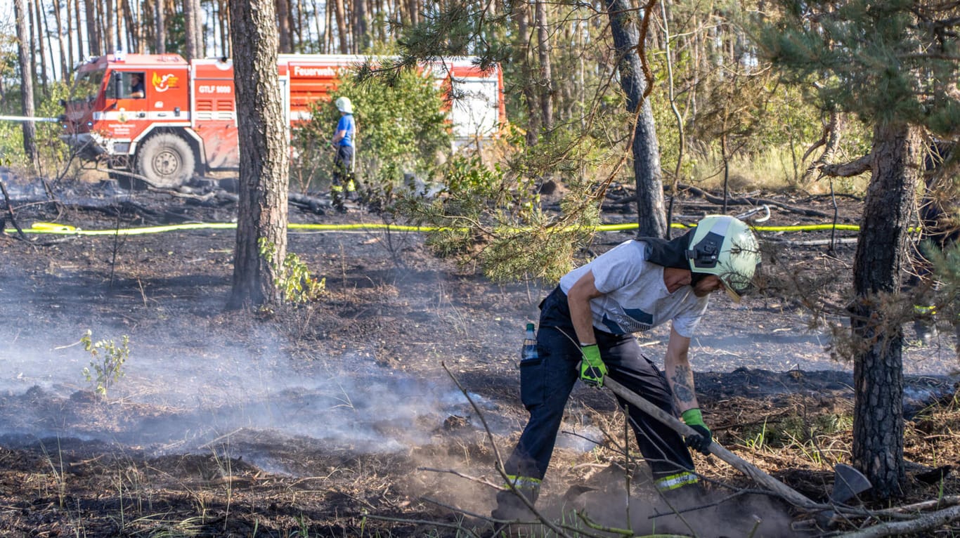 Ein Feuerwehrmann bei einem Waldbrand Anfang Juli (Archiv): Ein Waldumbau könnte den Forst widerstandsfähiger machen.