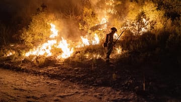 Waldbrand nahe der Stadt Manresa in Katalonien: Trockenheit hat die Wälder der Region extrem anfällig gemacht.